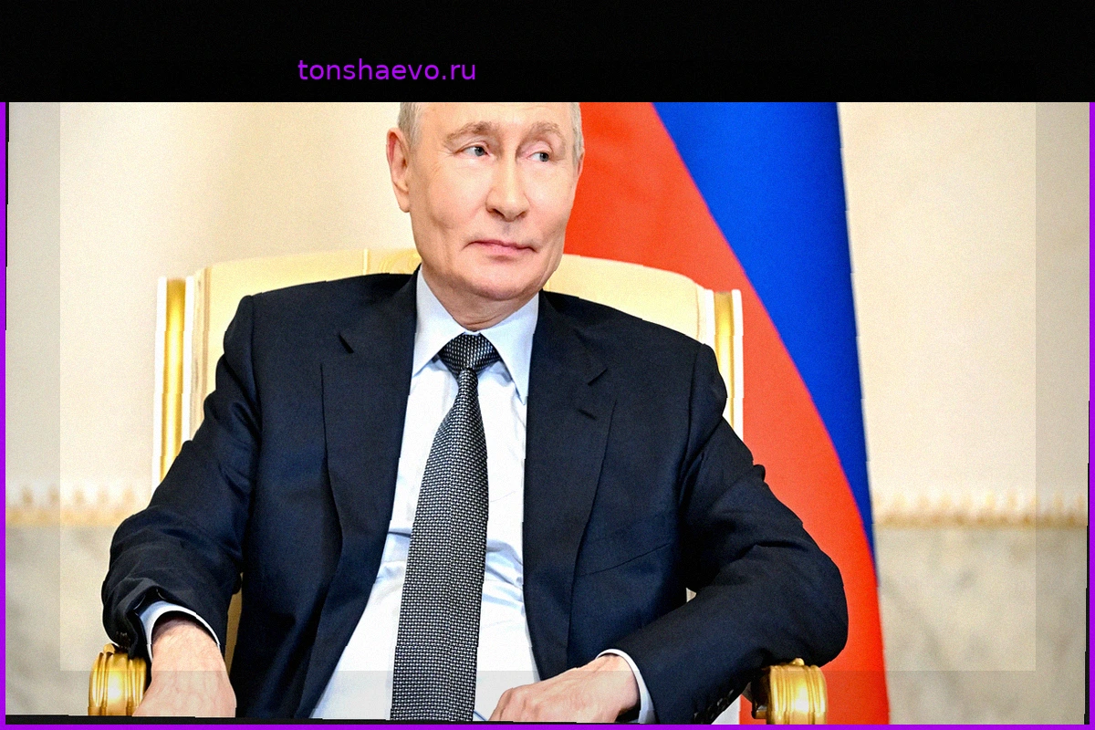 Война в Украине: Зеленский предлагает личную встречу с Путиным