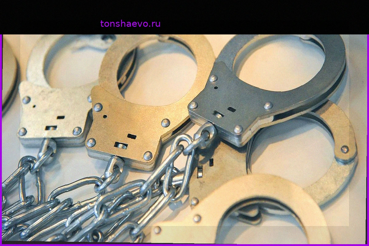 Трое жителей Подмосковья задержаны за вымогательство $300 000 и угон автомобиля