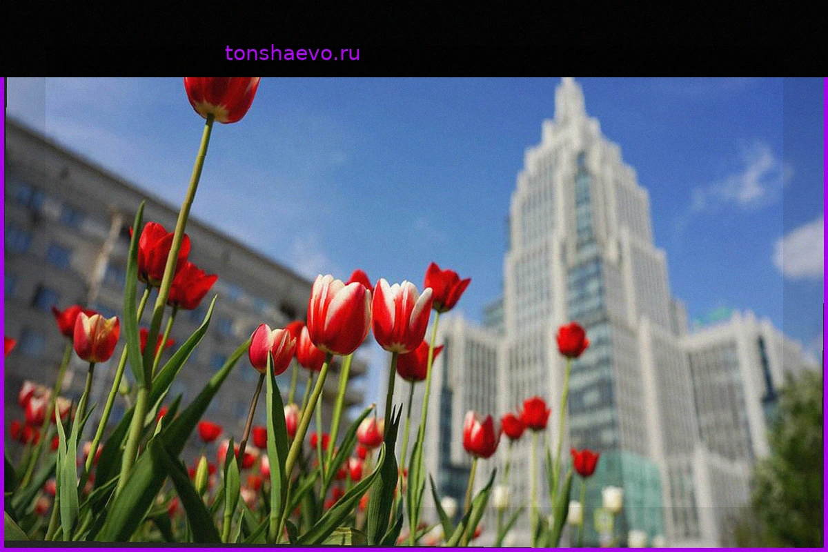 Погода в Москве 18 мая: тепло и переменная облачность, ожидается аномальная жара