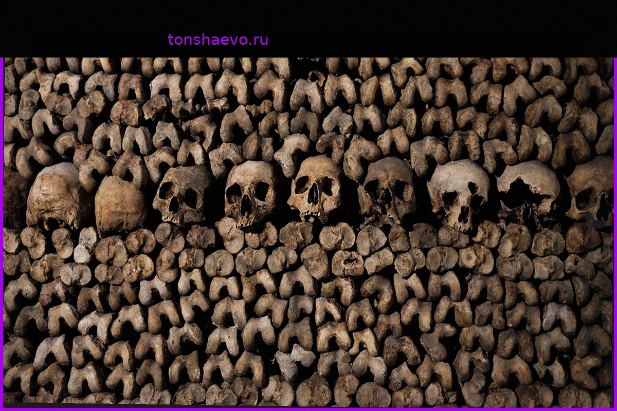 Академик Чумаков предупреждает об опасности вирусов из старых захоронений