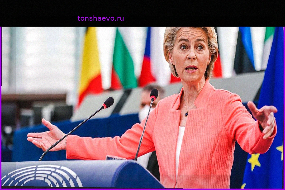 Обсуждают Трампа: что известно о тайном чате фон дер Ляйен с Зеленским и лидерами ЕС