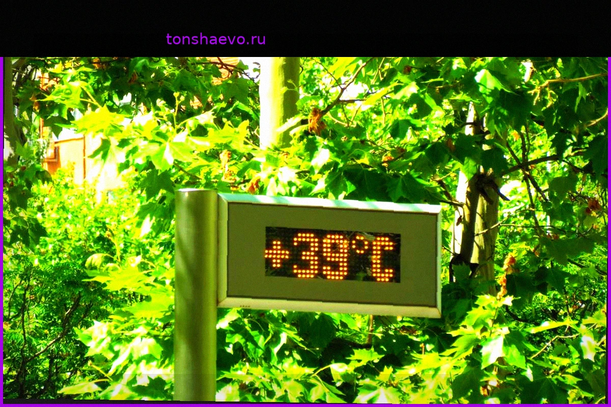 Почему 39 °C по-разному опасны в разных местах: объяснения экспертов по здравоохранению