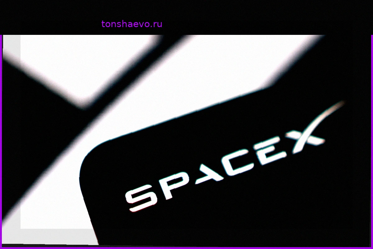 Деловой Обзор: Акции SpaceX оценили в 135 евро перед IPO и другие новости