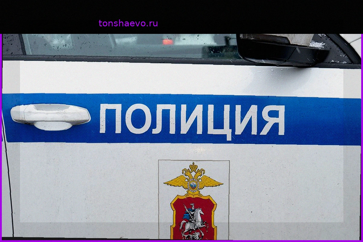 Полиция в Петербурге прислала ответ с матом в адрес пострадавшей от избиения