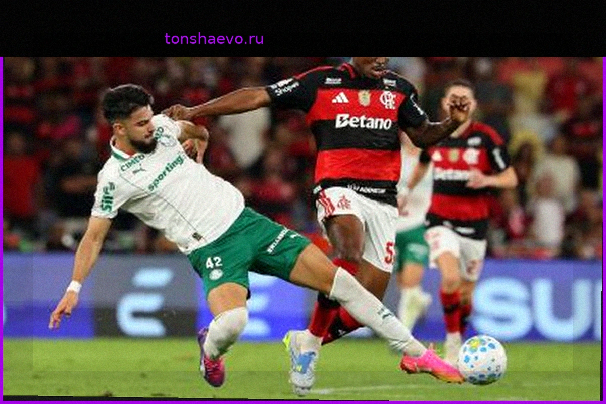 Evertton Araujo targeted by Milan, but no formal offer yet