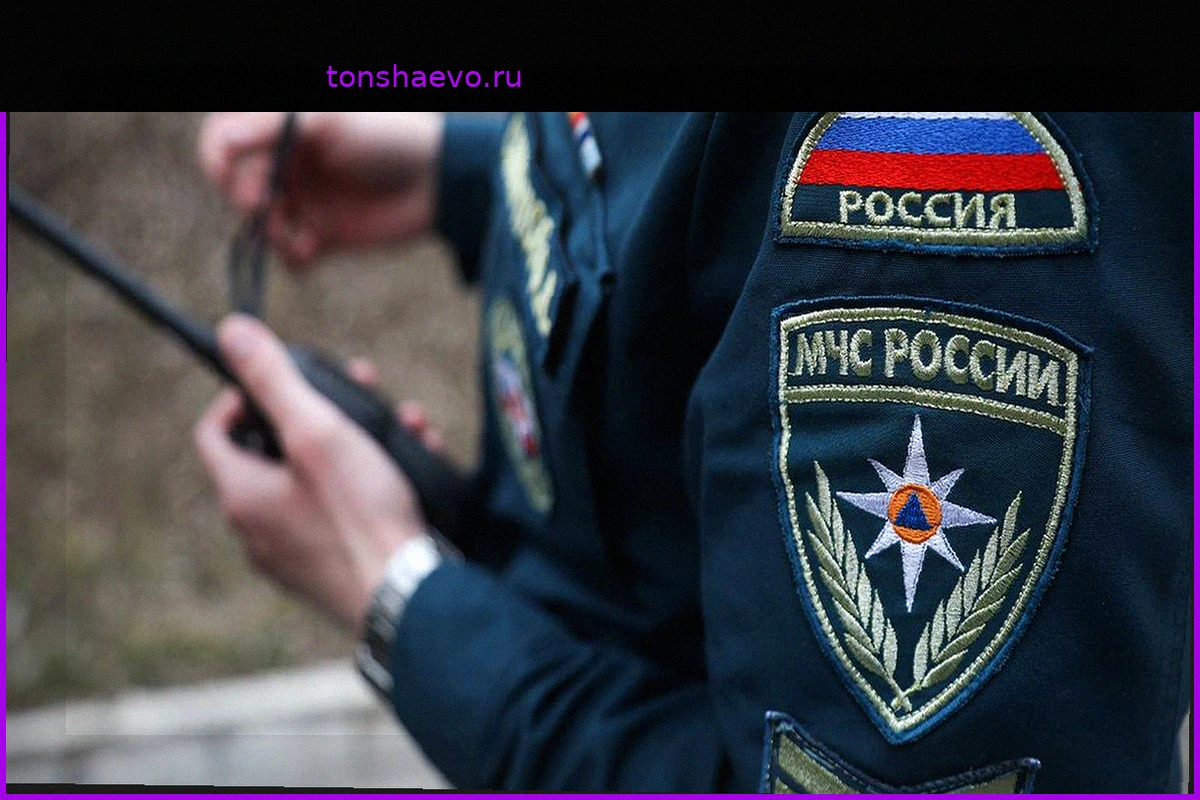 Дайвер погиб при погружении в районе бухты Русской на Камчатке
