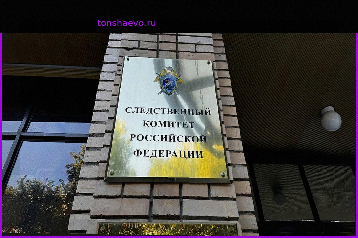Подросток, управляемый аферистами, угрожал пенсионерке и совершил кражу в Москве