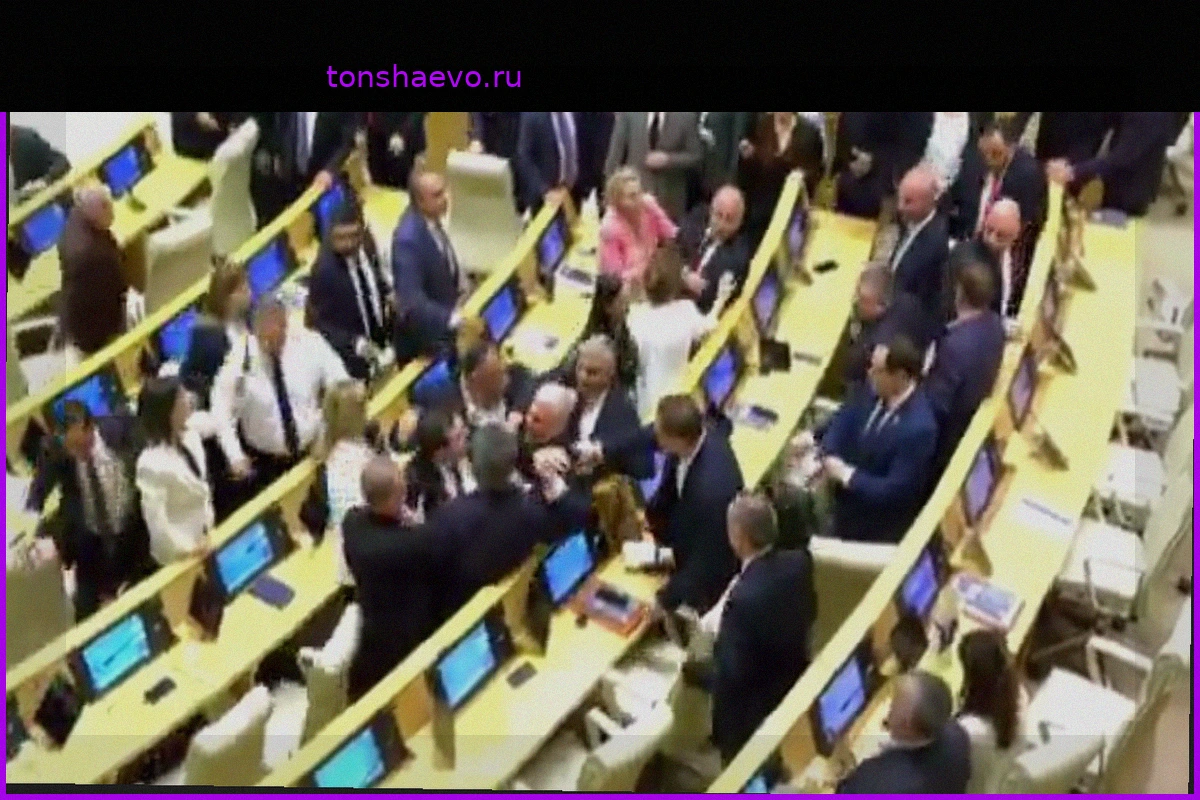 Драка произошла в парламенте Грузии после выступления оппозиционного политика