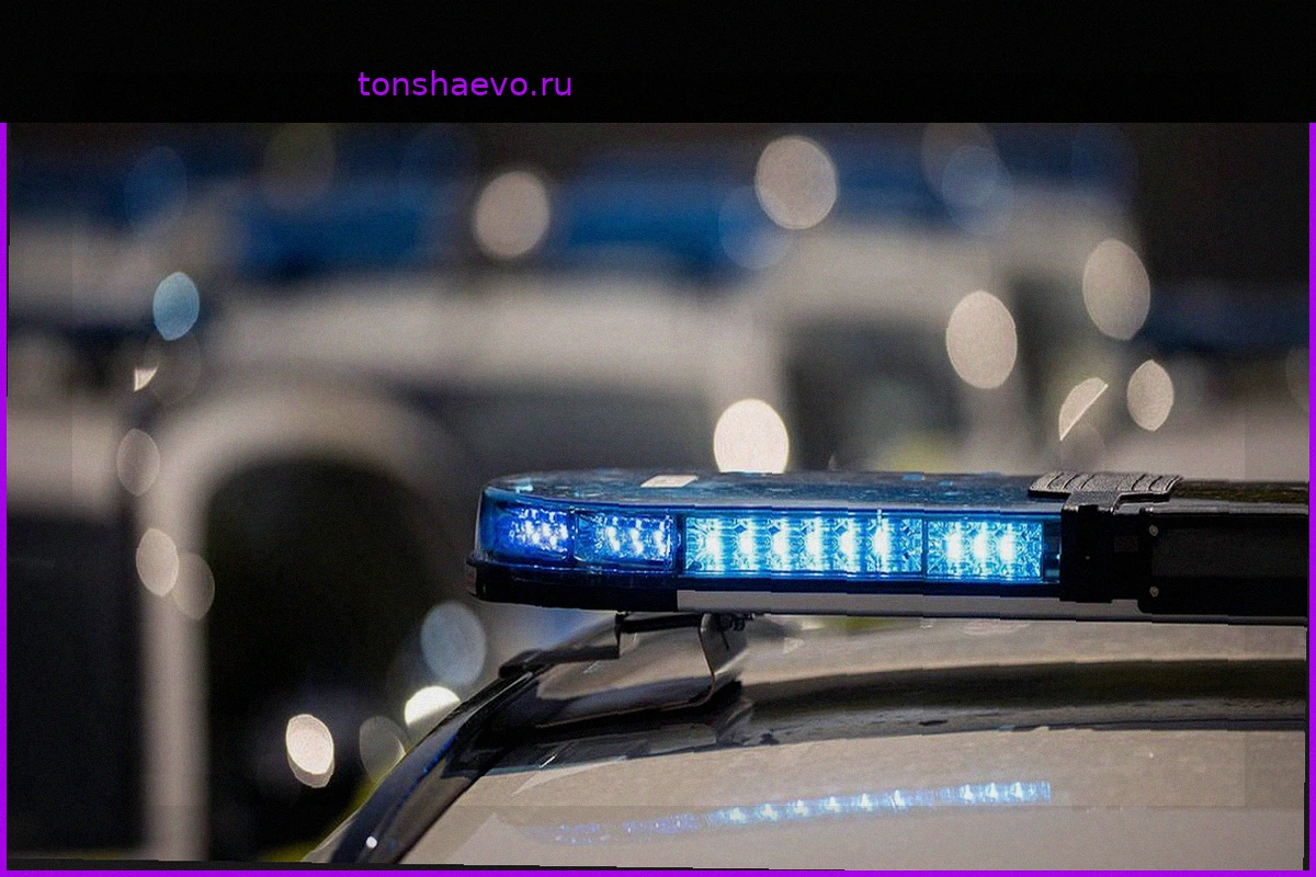 Расчлененное тело мужчины в пяти пакетах нашли в Ленинградской области
